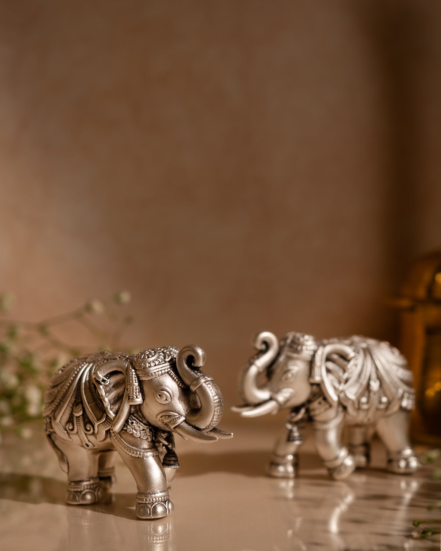 Arambh Elephants